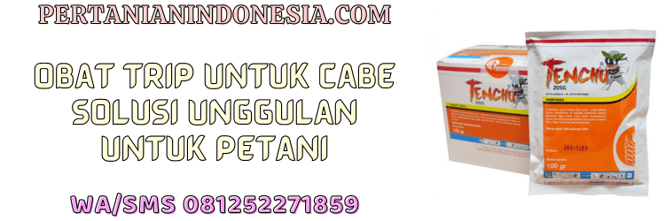 obat,trip,cabe,pestisida,insektisida